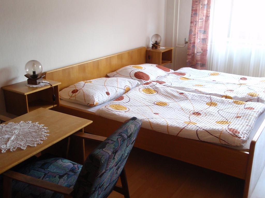 Apartments Gregorc ブレッド 部屋 写真